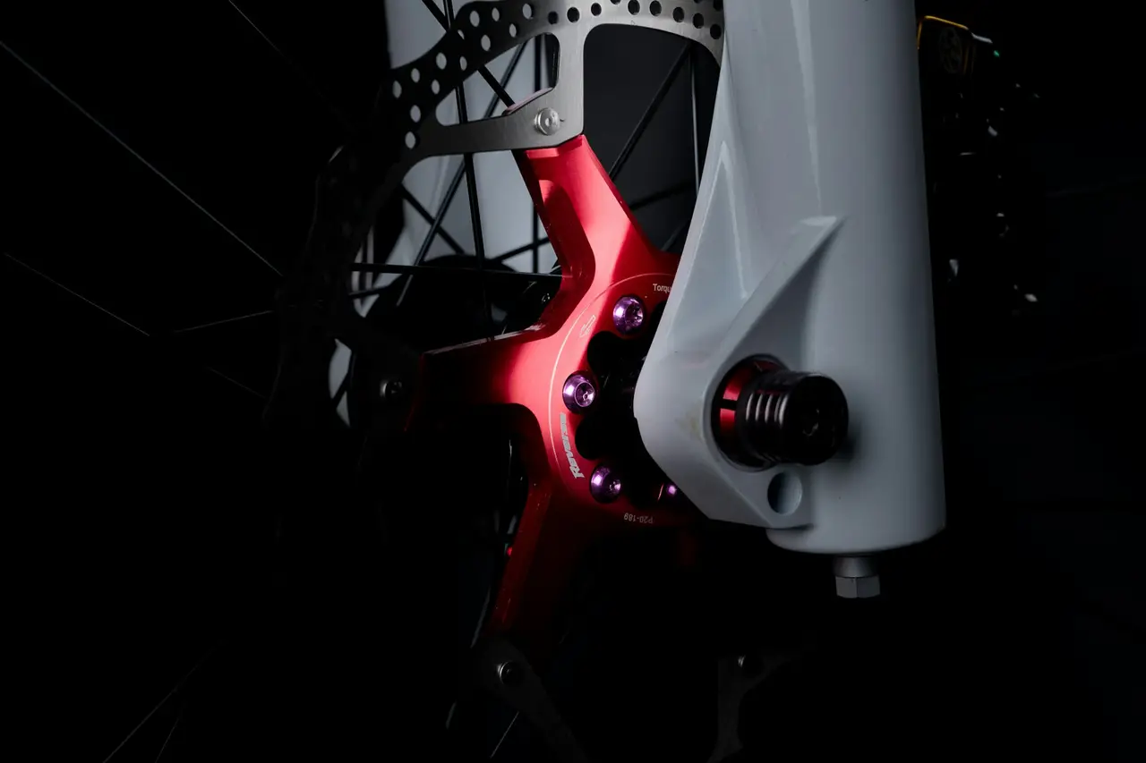 Bicycle disc brake caliper and rotor
